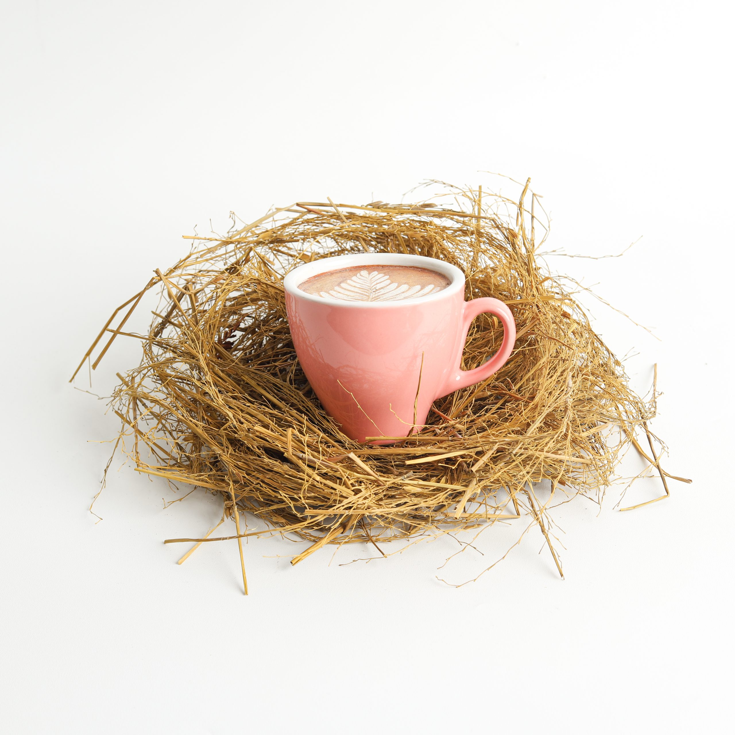 Ecofoam