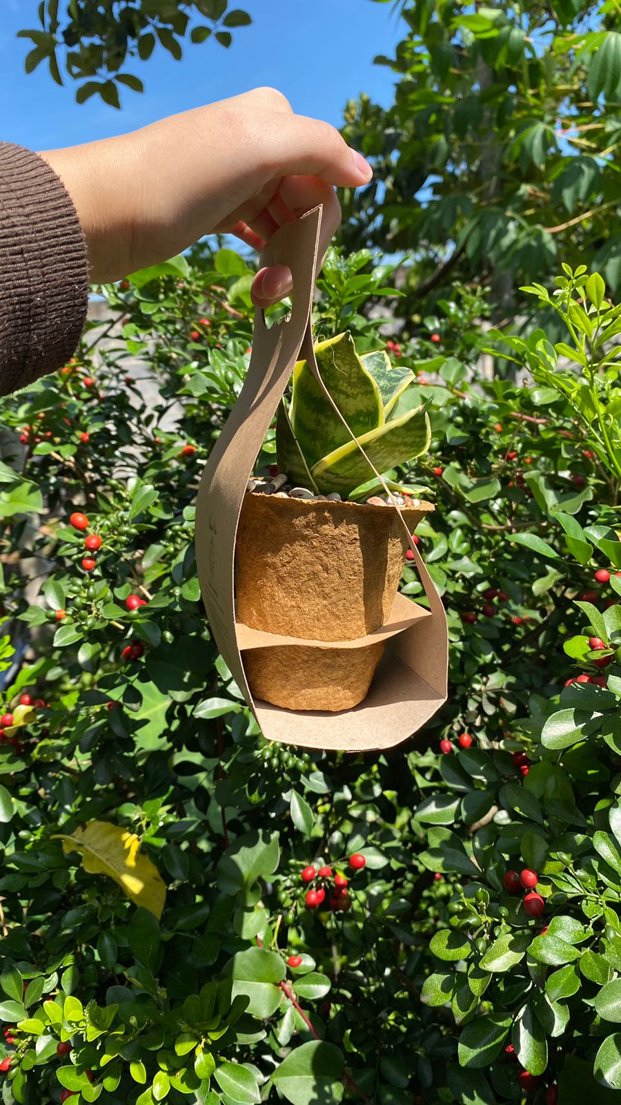 Ecofoam