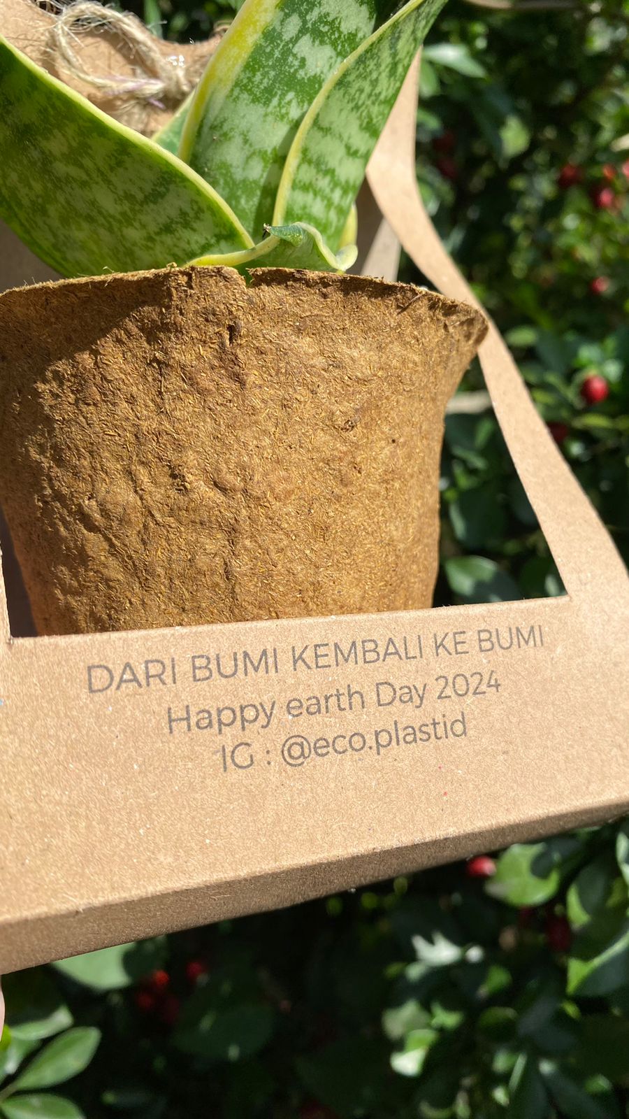 Ecofoam