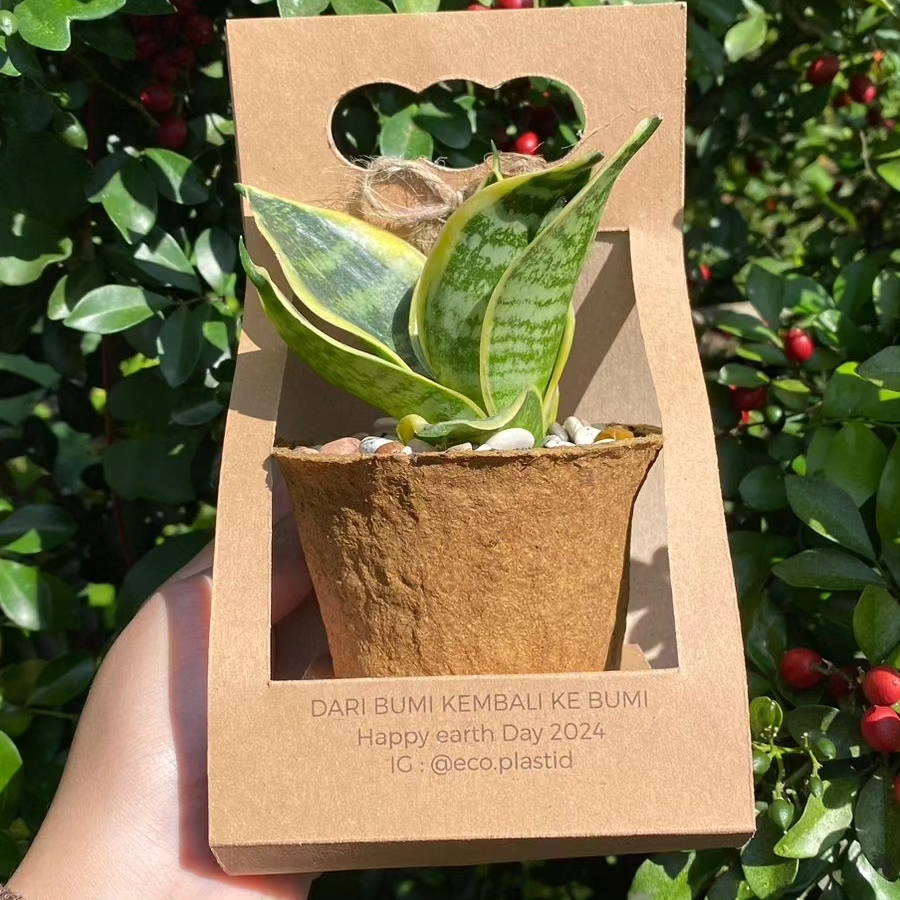 Ecofoam